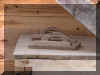 de Gannes latrine detail P6050044.JPG (644270 bytes)