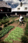 Reconstructed 18th-century garden at Louisbourg