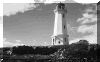 wpe35.gif (8900 bytes)