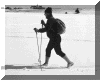 wpe3E.gif (8310 bytes)