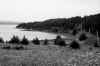 Vue de la cte de la baie de St. Peters au parc provincial Battery, lieu de l'tablissement de Port Toulouse. F. Marineau (Bay_small.jpg - 1653 bytes)