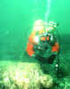 DIVING IN LOUISBOURG HARBOUR