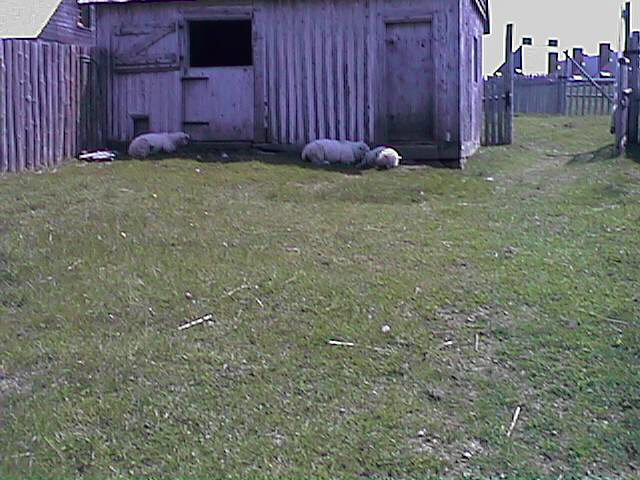 Parks Canada / Parcs Canada